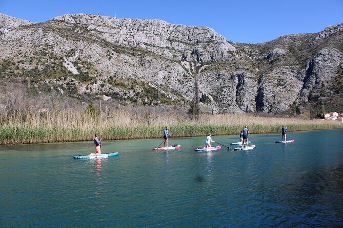 Ombla river Paddleboarding tour in Dubrovnik with snacks - The Ombla spring stop: history, nature, and an optional cold-water swim