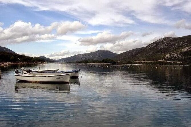 Oysters and mussels tasting with wine in Ston and Pelješac - Key Highlights to Know Before You Go