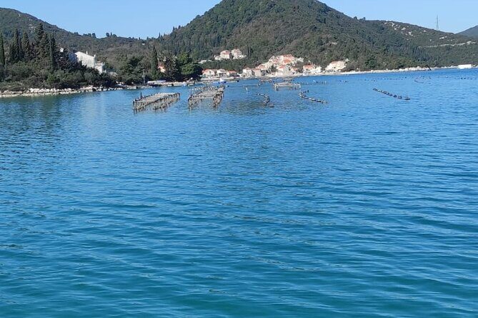 Oysters and mussels tasting with wine in Ston and Pelješac - Hodilje Shellfish Farm: Where Oysters and Mussels Become the Main Show