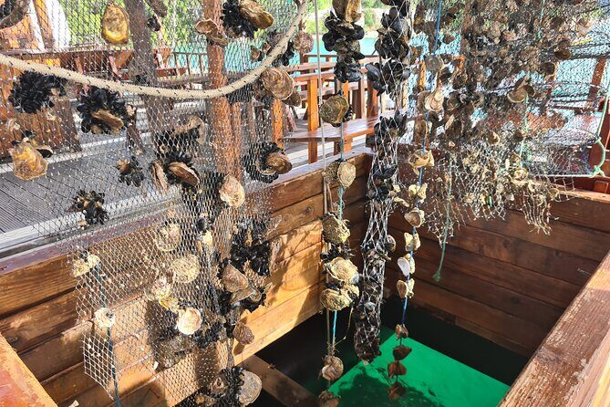 Oysters & Wine Tour From Dubrovnik (Small Group) - Key points to know before you go