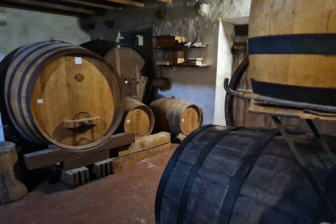 Oysters & Wine Tour From Dubrovnik (Small Group) - The guide makes it feel like a friend’s plan, not a script