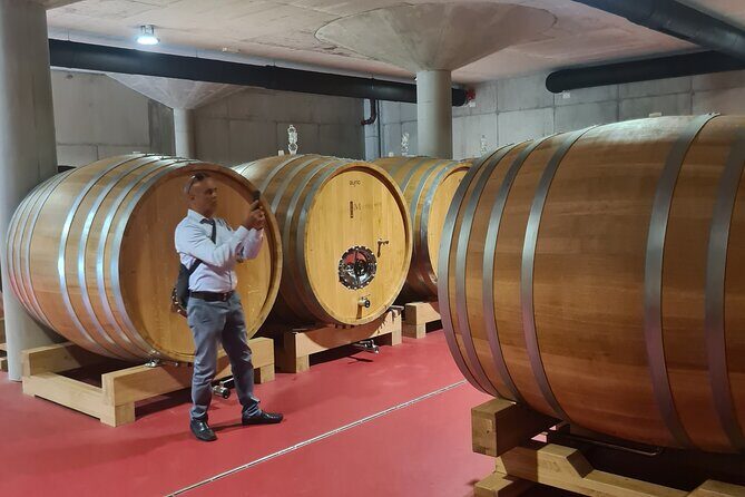 Oysters & Wine Tour From Dubrovnik (Small Group) - Who this tour suits best (and who should think twice)