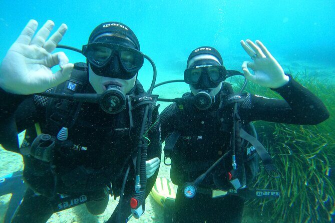 PADI Discover Scuba Diving in Dubrovnik - Key highlights you’ll care about