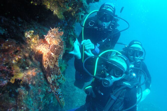 PADI Discover Scuba Diving in Dubrovnik - Instructors at Blue Planet: names you’ll likely hear
