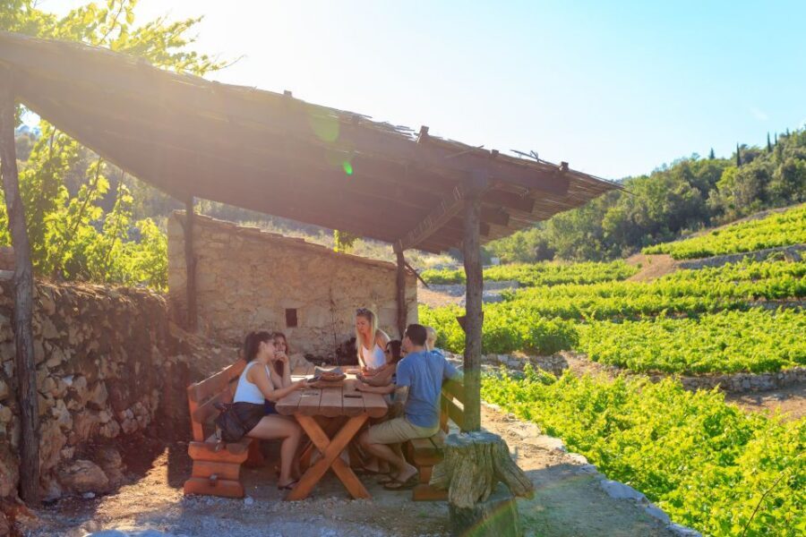 Pelješac Full-Day Wine and Food Tour from Dubrovnik - Why Pelješac from Dubrovnik feels more local than it sounds