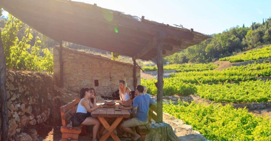 Pelješac Full-Day Wine and Food Tour from Dubrovnik - Ston’s salt works and medieval wall: the day’s clever opener