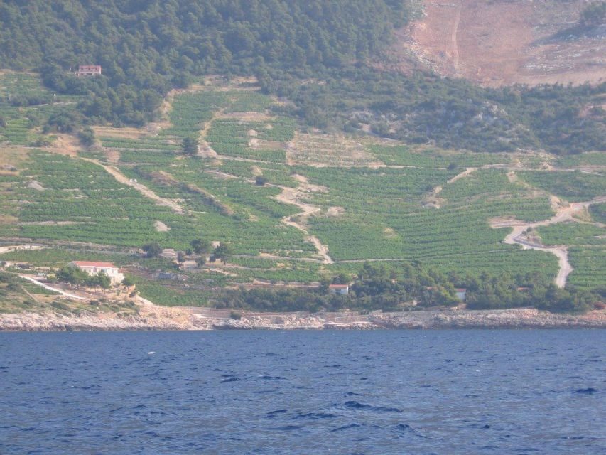 Peljesac Peninsula & Korcula Island Day-Trip from Dubrovnik - Orebić and the boat to Korčula: faster crossing, better perspective
