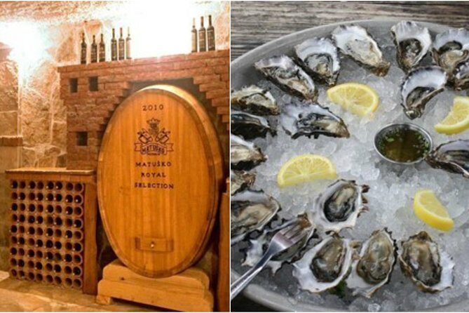 Peljesac Peninsula Wine Tasting Luxury Tour from Dubrovnik - The ride along the Dalmatian Coast: the part you’ll remember later