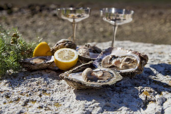 Peljesac Peninsula Wine Tasting Luxury Tour from Dubrovnik - Ston and the Great Wall: ancient stone you can actually picture