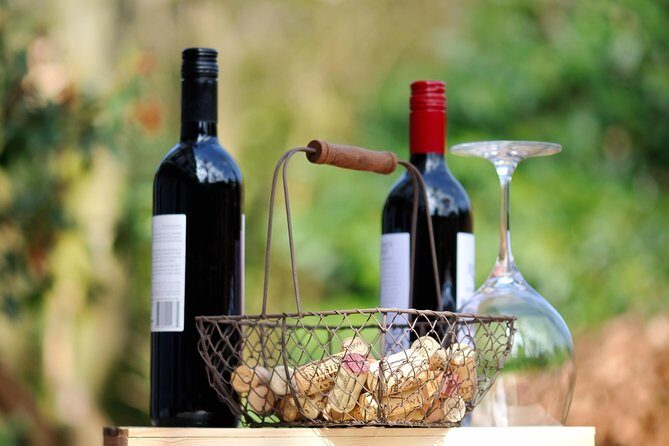 Peljesac Peninsula Wine Tasting Luxury Tour from Dubrovnik - Oyster breeding ground: the standout stop for food lovers