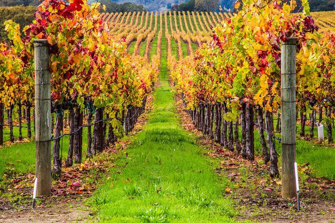 Peljesac Peninsula Wine Tasting Luxury Tour from Dubrovnik - What’s included vs. what’s on you