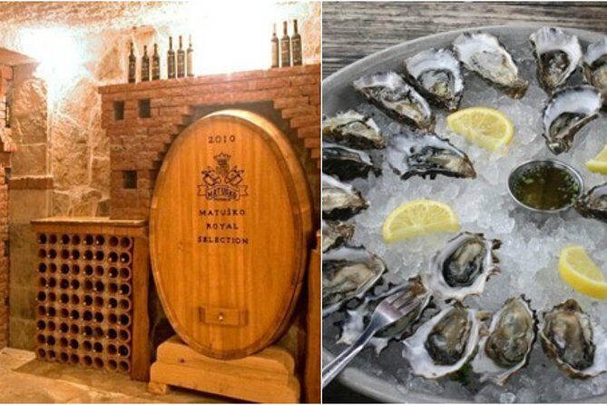 Peljesac Peninsula Wine Tasting Luxury Tour from Dubrovnik - Price and logistics: what you’re really paying for