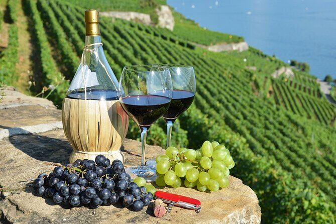Peljesac Vineyards & Oysters - Private Day Trip from Dubrovnik-Mercedes Vehicle - Key highlights worth planning for