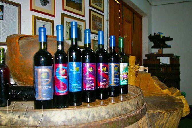 Peljesac Vineyards & Oysters - Private Day Trip from Dubrovnik-Mercedes Vehicle - Grgic Vina: the shorter tasting stop