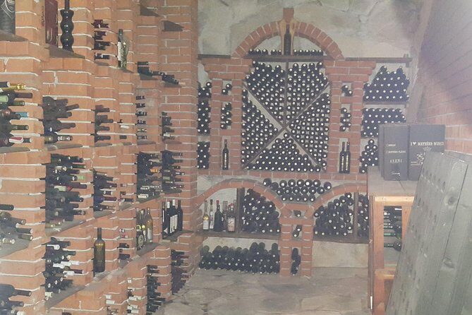 Pelješac Wine, Beach and Lunch - Relaxing Tour from Dubrovnik - Dingač Tunnel: Seeing the Vineyards Up Close (Without the Lecture)
