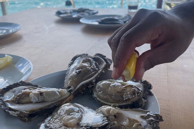 Pelješac - Wine, Oysters and Food Experience from Dubrovnik - Pelješac From Dubrovnik: Why This 6-Hour Format Works