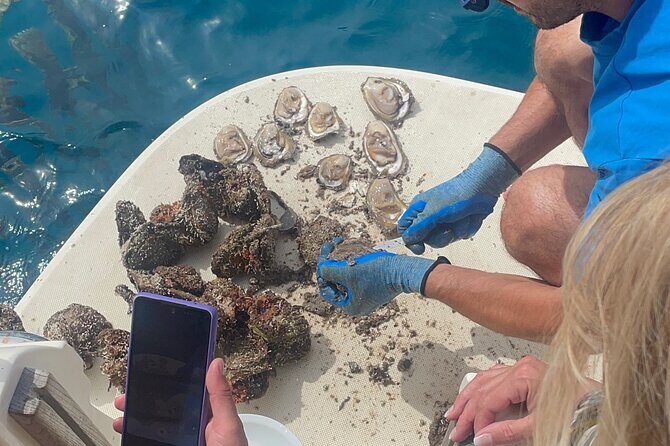 Pelješac - Wine, Oysters and Food Experience from Dubrovnik - Ston Salt Factory in 30 Minutes: Quick, Real, and Worth It