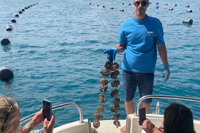 Pelješac - Wine, Oysters and Food Experience from Dubrovnik - Hodilje Oyster Tasting and Buzara: The Seafood Moment