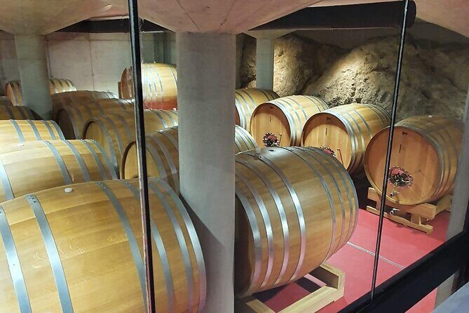 Pelješac - Wine, Oysters and Food Experience from Dubrovnik - Second Winery in the Cellars: Where the Day Gets Deeper