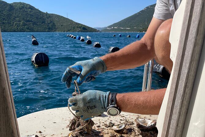 Pelješac - Wine, Oysters and Food Experience from Dubrovnik - Finishing at Mount Srd: Dubrovnik’s View at Golden Hour Energy