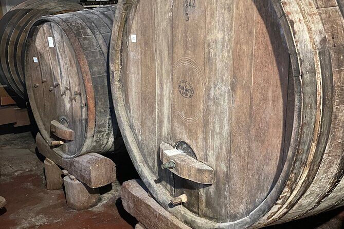 Pelješac - Wine, Oysters and Food Experience from Dubrovnik - Price and Value: Is $420.55 a Good Deal?
