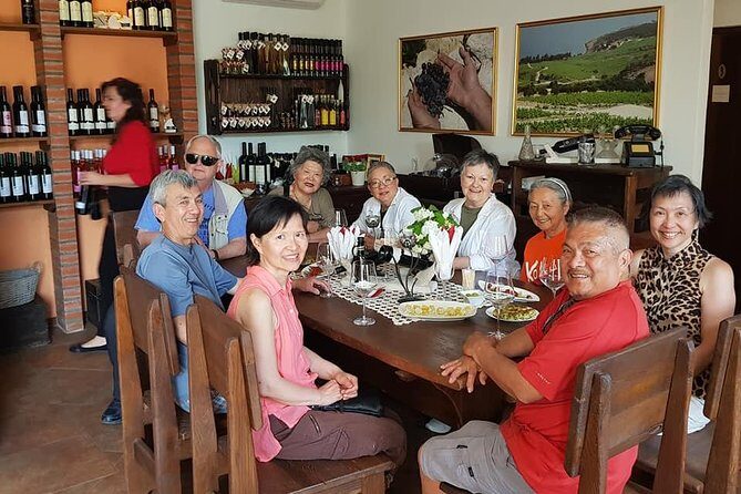 Peljesac Wine & Ston Oysters PRIVATE HALF DAY SHORE TOUR - Who Should Book This Tour (and Who Might Prefer Something Else)