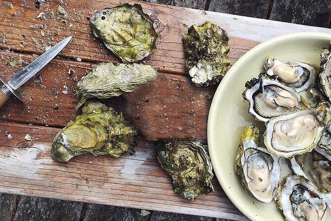 Peljesac Wine & Ston Oysters PRIVATE HALF DAY SHORE TOUR - Mali Ston Bay: Riding With Fisherman Mario and Tasting Oysters On-Site