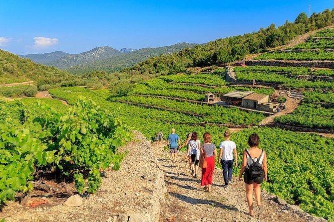 Peljesac&Ston Small-Group Food & Wine Experience from Dubrovnik - Key things to know before you go