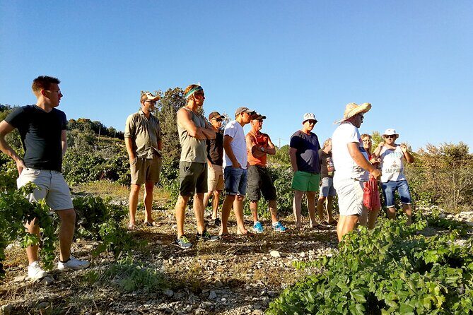 Peljesac&Ston Small-Group Food & Wine Experience from Dubrovnik - Pelješac Peninsula drive: villages, countryside, and time to talk