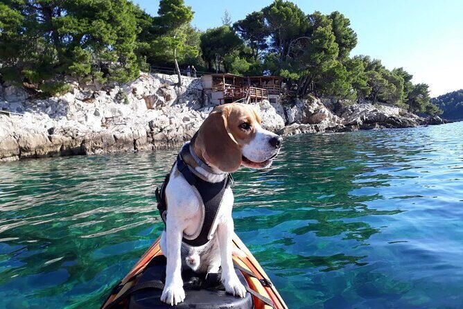 'Pomalo' Guided Sea Kayaking Tour in Cavtat - Key Takeaways Before You Kayak Cavtat
