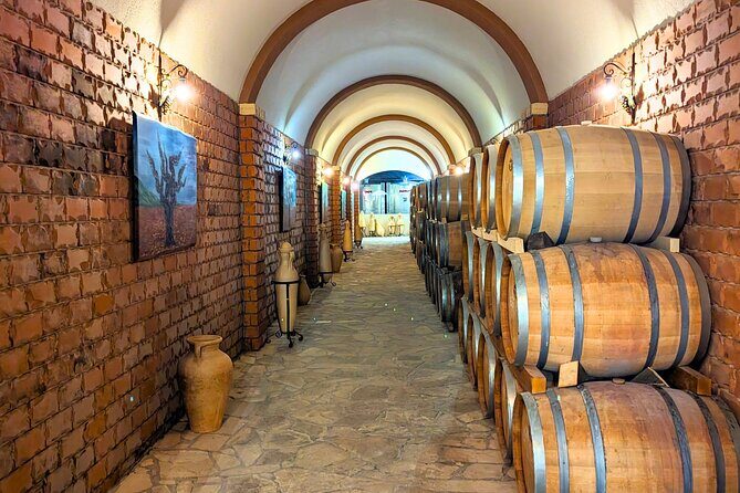 Private Full Day Peljesac Wine Tasting Tour from Dubrovnik - Timing and comfort: what an 8–9 hour day feels like