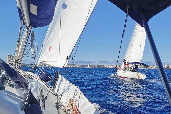 Private Full Day Sailing Tour To Elafiti Islands - Key highlights you’ll care about