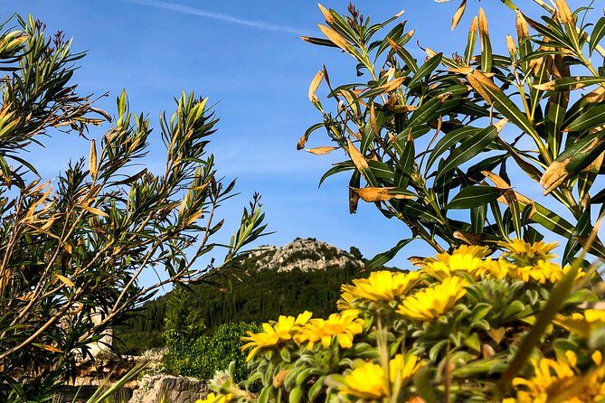 Private Lopud Walking Tour - Finishing at Šunj beach: plan your next hour