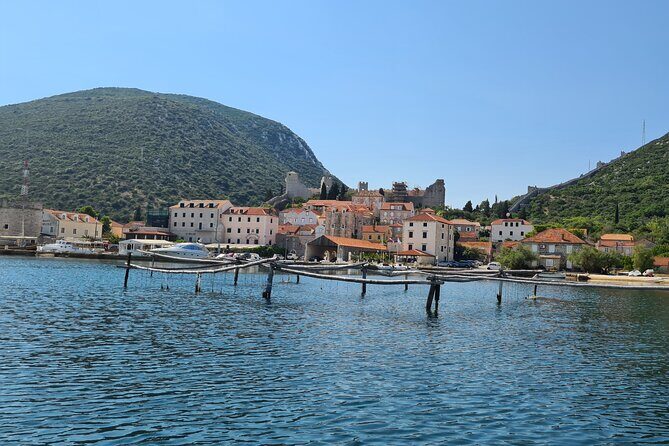 Private Oyster and Wine Tasting Day Trip along Peljesac - Mali Ston Oyster Time: The Part That Feels Like a Story