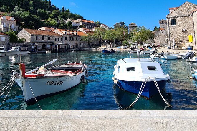Private Speedboat Tour - Should You Book This Private Dubrovnik Speedboat to the Elaphiti Islands?