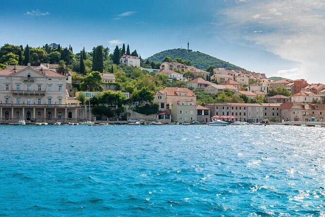PRIVATE TOUR: Highlights & Hidden Gems of Dubrovnik With Locals - Timing: a short tour that works during cruise days