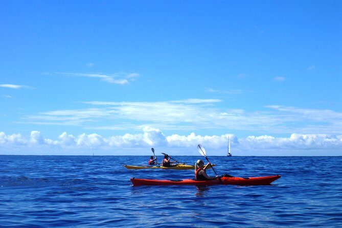 Private tour: Sea Kayaking & Snorkeling to Green Cave on Sipan island from Lopud - Paddling to Šipan’s Stone Archway: Where the Bay Opens Up