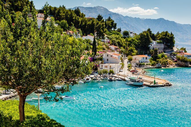 Private Transfer from Dubrovnik to Split with 2 hours for sightseeing - Rizman Winery: a stop that can turn into your highlight