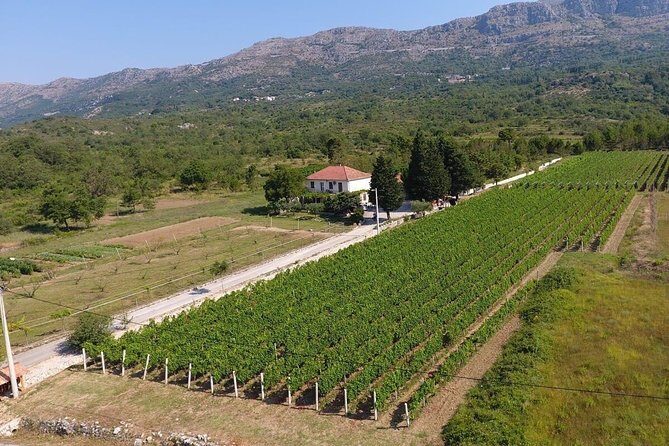 PRIVATE Wine Tour to Konavle country side - If timing works: water source, mill, and funivia views
