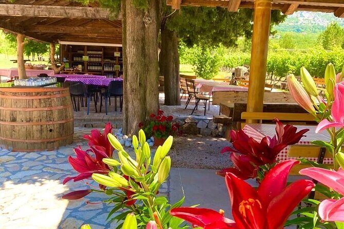 PRIVATE Wine Tour to Konavle country side - Price and value: is $180.62 worth it?