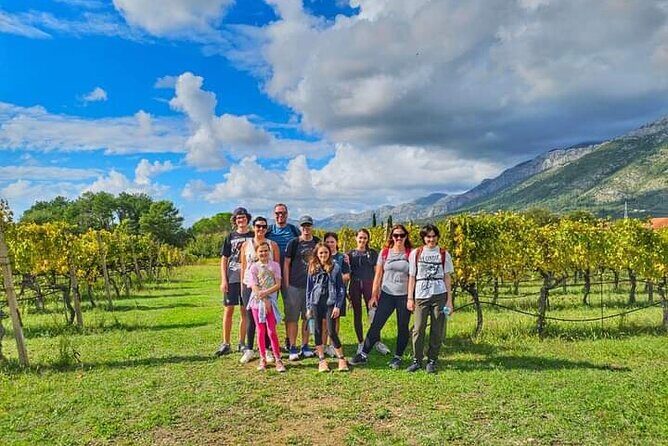 Rural Biking & Wine Tasting Tour in Dubrovnik - Price and value: where your $188.26 is actually going