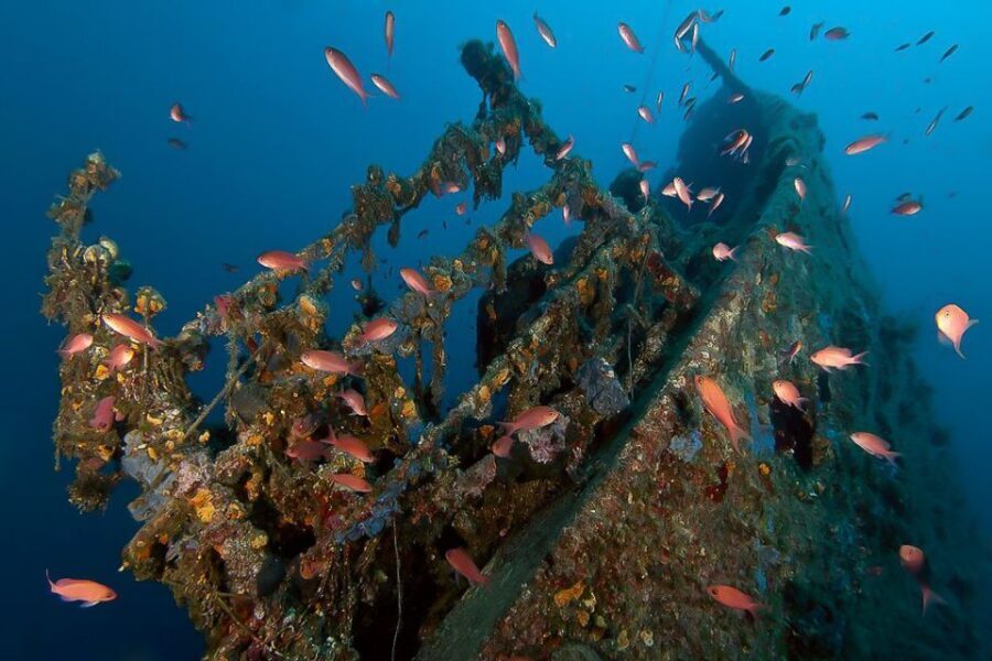 Scuba Diving in Dubrovnik: 1 Dive for Certified Divers - Meeting at Dubrovnik Palace and Getting Ready Fast