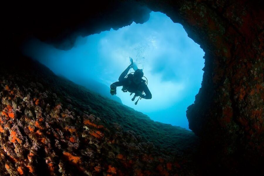 Scuba Diving in Dubrovnik: 1 Dive for Certified Divers - The Guide Experience: Clear Briefings and Real Calm Under Pressure