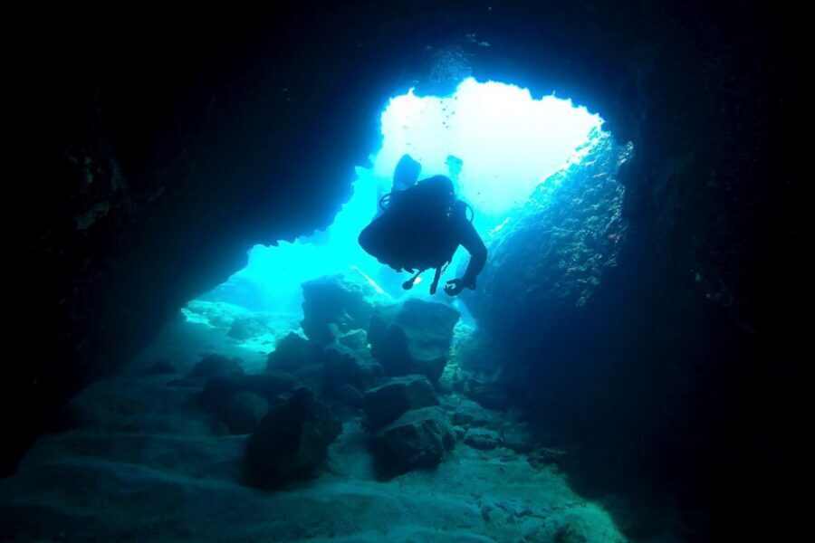 Scuba Diving in Dubrovnik: 1 Dive for Certified Divers - Price and Value: Why $94 Makes Sense for Certified Divers