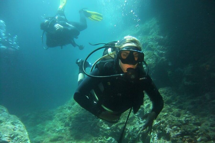 Scuba Diving in Dubrovnik: 1 Dive for Certified Divers - Who This Works For Best in Dubrovnik