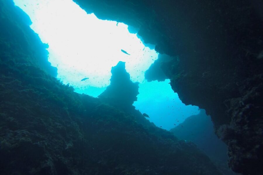 Scuba Diving in Dubrovnik: 1 Dive for Certified Divers - A Certified-Only Session: What You Skip (and What You Need)