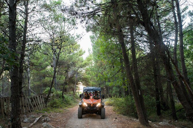 Self-drive Off Road Buggy - Price and Value: Is $60.47 Worth 30 Minutes?