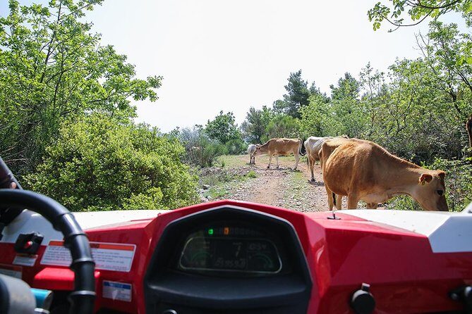 Self-drive Off Road Buggy - Who This Tour Fits Best (and Who Should Rethink It)