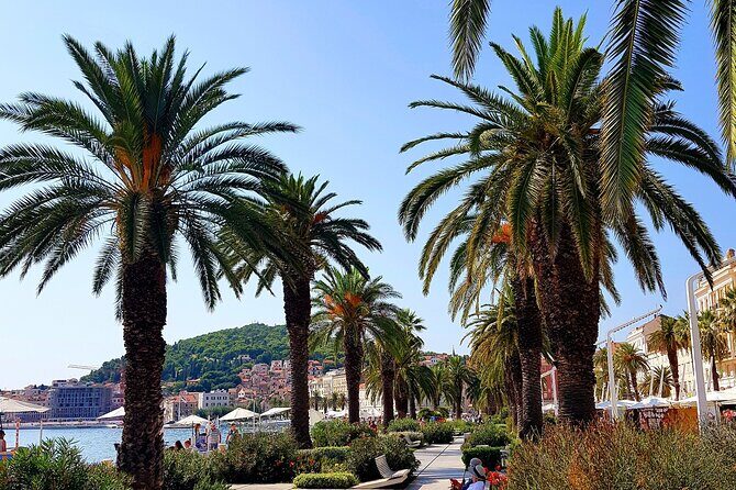 Split and Ston private tour or transfer - Who Should Book This Split and Ston Private Tour