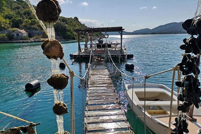 Ston Gastro Tour - Getting Out of Dubrovnik: Why This Trip Works